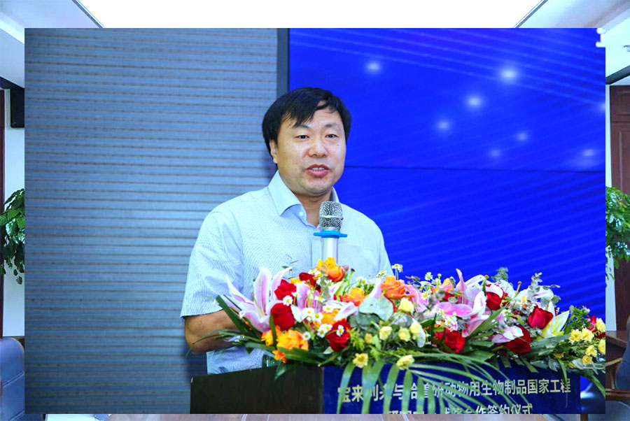 1599540966105208.jpg 1-1.jpg